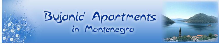 Appartments in Tivat Appartments in Tivat